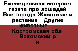 Еженедельная интернет - газета про лошадей - Все города Животные и растения » Другие животные   . Костромская обл.,Вохомский р-н